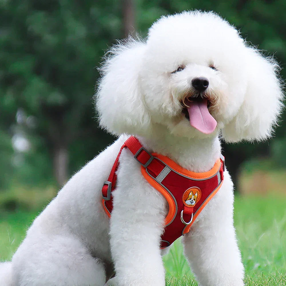 Dog Harness with Leash Set